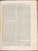 81